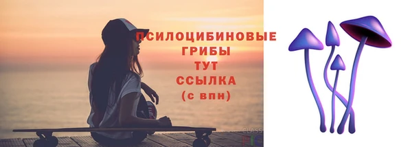 прущие крисы Аркадак