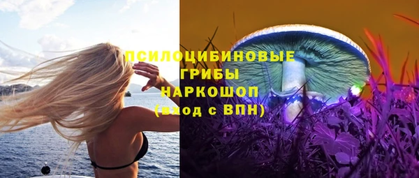 дмт Армянск