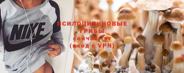 дмт Армянск