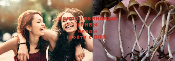 таблы Арсеньев